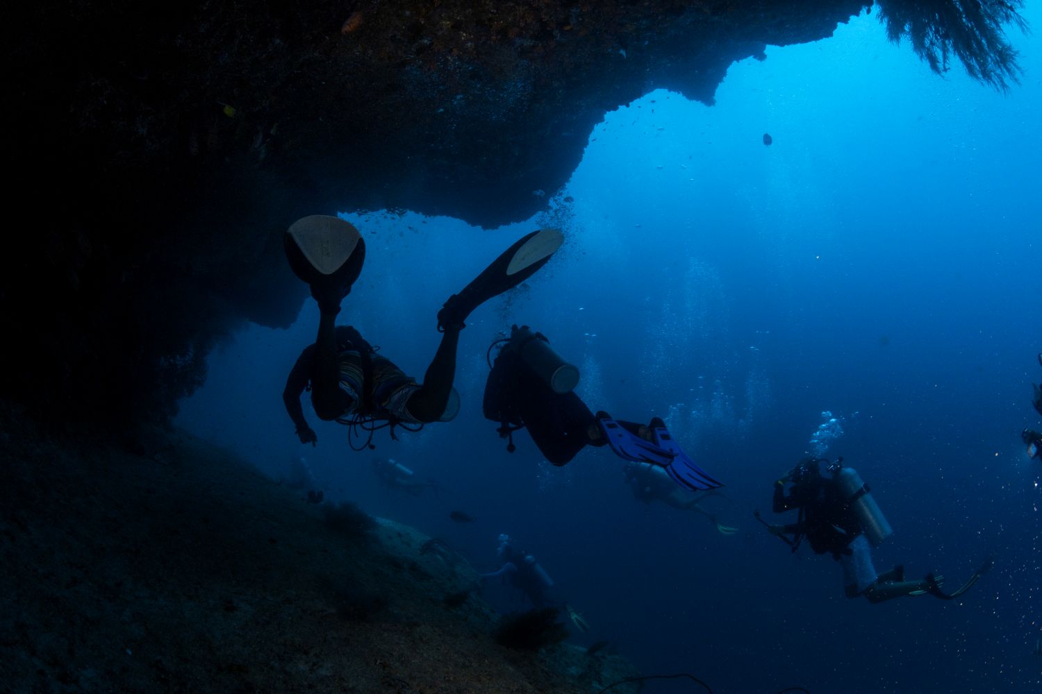 House reef diving with colorful coral formations